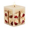 Large Apple Vanilla Botanical Candle Natural Soy & Beeswax Clean Scent Long Lasting Eco Friendly Refillery Haus view 1
