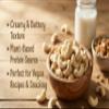 Organic Basic Food Organic Cashews, Raw, Whole | Non-GMO | Vegan | Gluten-Free - 8 oz view 2