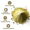 UNLEASH'D ORGANIC Organic Ginkgo Biloba Powder 16 oz, 100% Pure, Vegan, Raw, Non-GMO, Nutrient-Rich Superfood view 3