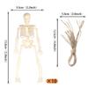 10PCS Halloween Mini Skeleton Figurine Cupcake Toppers Halloween Posable Skeleton Decor Small Plastic Skeletons for Graveyard Props Figure for Spooky Home Decor Haunted House Decorations Party Favors view 2