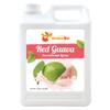BOBA2U | CONCENTRATED SYRUP | 5.5 LBS (RED GUAVA) view 1