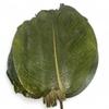Large Organic Moi Moi Leaves Fresh and green view 1