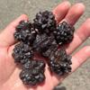 ZPFWDGBRH 3pcs Crystal Semi-Precious Stone Egypt Rough raw Rock Prophecy ZPFWDGBRH view 1