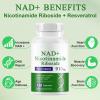 A r b c r n 240 Capsules Supplement,Nicotinamide Riboside Resveratrol 910mg for Men and Women, NR Supplement for Energy Anti-Aging Focus view 3