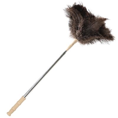Extendable Ostrich Feather Duster 27-94 Inch, Natural Cleaning Duster Extension Pole Reusable for High Ceilings, Fans, Blinds, Furniture, Interior & Roof Dusting(one Pack)