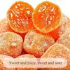 2 flavors Rock sugar dried kumquat,Sweet and Sour Snacks natural dried kumquat candied fruit 500g/can,nutritious preserved fruit snacks,Sweet Orange,Instant desserts (Ice sugar flavor,2 can) view 4