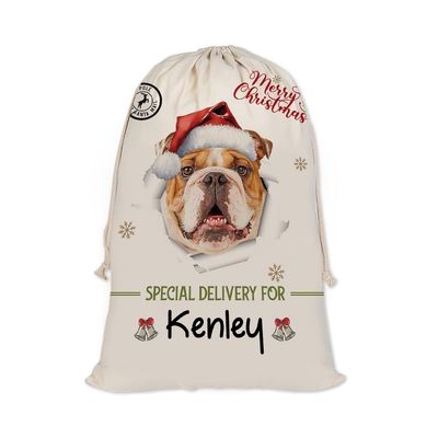 GABSHAIM Christmas Santa Sack with Bulldog Dog Custom Name Large Cotton Linen Santa Bag Special Delivery for Family Friend Xmas Decor 19.5 x 27.5 Inch