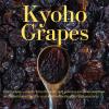 Premium Japanese Dried Giant Grapes (Kyoho) - Authentic Soft Texture & Intense Flavor - Exquisite Jumbo Raisins for Wine & Charcuterie Board - No Sugar Added, Vegan (8.8oz) view 3