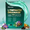 21-in-1 Liposomal Lymphatic Drainage Supplements, 100 Day Supply, 6000mg Lymph System Support for Women & Men with Echinacea, Dandelion, Burdock, Bromelain, Calendula, Turmeric & More, 300 Softgels view 1