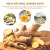 Indochine Blends 150 Ginger Tea Bags, Single Chamber, Caffeine-Free view 3