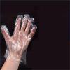 Gonehyu Plastic Gloves Disposable 500/1000pcs For Cooking Food Prep Service Hair Dyeing Cleaning Household(1000pcs) view 2