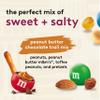 Snak Club Trail Mix Variety Pack, Protein Snacks, Includes Energizer Trail Mix, Sweet and Salty, and Peanut Butter Chocolate, 6 Pack view 3