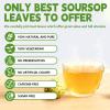 Soursop Tea Bags, 120 Teabags, 2g/Bag, Made with 100% Natural Soursop Leaves. Caffeine-Free | Sugar-Free | Gluten-Free | Vegan. Eco-Friendly Tea Bags view 2