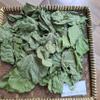Daun Dadap (Erythrina variegata) Coraltree Dried Leaves (80gr) view 3