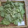 Daun Dadap (Erythrina variegata) Coraltree Dried Leaves (200gr) view 2