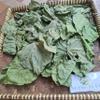 Daun Dadap (Erythrina variegata) Coraltree Dried Leaves (200gr) view 3