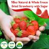 16oz Freeze Dried Whole Strawberries - Lightly Sweetened, Crunchy Fruit for Yogurt, Baking, Oatmeal & Dessert, Bulk Natural Dried Strawberries with Sugar for Kids, Travel Snacking view 2