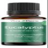 Viva Doria Eucalyptus Essential Oil, 100% Pure, Natural, Essential Globulus Oil, Undiluted, for Aromatherapy | Food Grade, 15 mL (0.5 Fluid Ounce) view 1