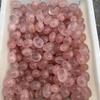 0.5LB Natural Rose Quartz Tumbled Stones Healing Crystals for Energy, Protection & Intuition Polished Crystals for Reiki, Chakra Balancing, Meditation & Home Dcor(10-20mm) view 2