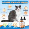L-Lysine for Cats - Immune & Respiratory Support for Feline Health - Promotes Eye Function, Reduces Sneezing & Runny Nose - Natural Defense Boost - Roast Chicken Flavor, 60ML view 3