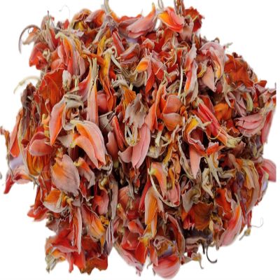 Hasyadeep Palasha Dried Flowers | Butea Monosperma (100gm/3.52oz)