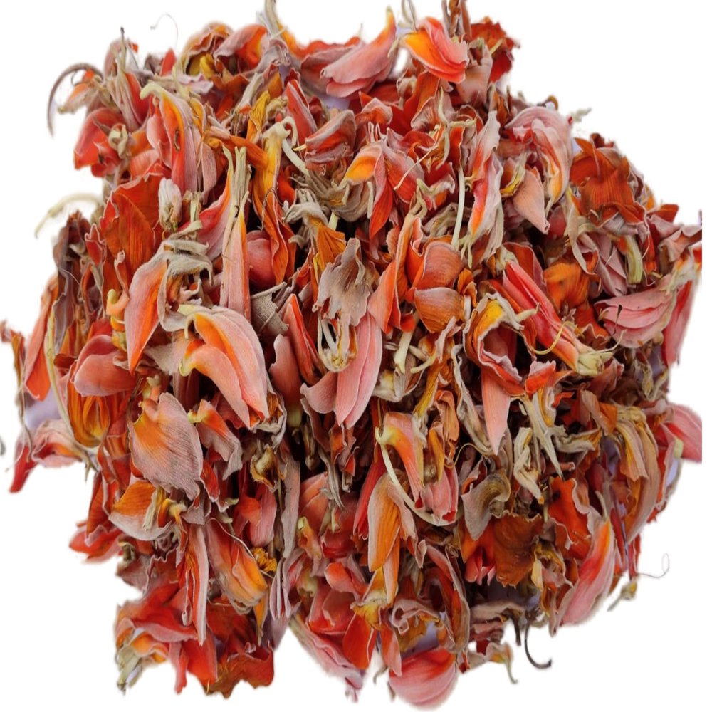Hasyadeep Palasha Dried Flowers | Butea Monosperma (100gm/3.52oz)