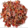 Hasyadeep Palasha Dried Flowers | Butea Monosperma (100gm/3.52oz) view 1