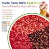 4.6oz Freeze-Dried Raspberry Strawberry & Blueberry Mixed Fruit, Crunchy Freeze Dried Berries Blend Pieces Natural Freeze Dried Fruit Snacks, Superfood Toppings for Baking, Yogurt, Smoothies & Oatmeal, Non-GMO, Vegan view 3