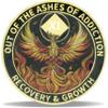 11 Year Phoenix Sobriety Coin Rebirth in Sparks NA Medallion Spiritual Token for Recovery & Clean Time Empowering NA AA Chips Gift for Men & Women view 1