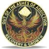 16 Year Phoenix Sobriety Coin Rebirth in Sparks NA Medallion Spiritual Token for Recovery & Clean Time Empowering NA AA Chips Gift for Men & Women view 1