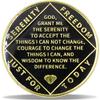 16 Year Phoenix Sobriety Coin Rebirth in Sparks NA Medallion Spiritual Token for Recovery & Clean Time Empowering NA AA Chips Gift for Men & Women view 2