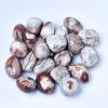0.5 LB Natural Mexico Crazy Agate Tumbled Stones Healing Crystals for Energy, Protection & Intuition Polished Crystals for Reiki, Chakra Balancing, Meditation & Home Dcor (10-20mm) view 1