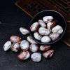 0.5 LB Natural Mexico Crazy Agate Tumbled Stones Healing Crystals for Energy, Protection & Intuition Polished Crystals for Reiki, Chakra Balancing, Meditation & Home Dcor (10-20mm) view 2