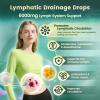 21-in-1 Lymphatic Drainage Drops for Liposomal, Immune & Lymph System Support Supplement for Women & Men with Echinacea, Dandelion, Burdock, Bromelain, Calendula, Turmeric & More, 4 Pack view 2
