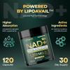UPLIFE NAD+ Supplement 1,372mg Liposomal NAD+ with CoQ10, Resveratrol, Spermidine, L-Theanine, Apigenin & PQQ NMNH Alternative Booster for Cellular Energy, Healthy Aging, Immune Health 120 Capsules view 2