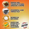 CCLEANAMA Bundle-Easy Off degreaser 16 Fl Oz + Dish Soap 20 Fl Oz, Dish Sponges, Steel Scrubber & Microfiber Cloths. view 2