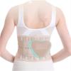 WHSY127 Waist Belt Mens Womens Back rt Braces Adjustable with Lumbar Cushion rt Beautiful view 1