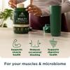 Ancient Nutrition Organic Multi Protein Plant Based Powder, 25g Protein, Hydrolyzed Pea Protein, Digestive Enzymes & Probiotics, Supports Muscle & Gut Health, Vanilla, 15 Servings view 2
