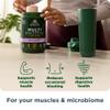 Ancient Nutrition Organic Multi Protein Plant Based Powder, 25g Protein, Hydrolyzed Pea Protein, Digestive Enzymes & Probiotics, Supports Muscle & Gut Health, Mixed Berry, 15 Servings view 2