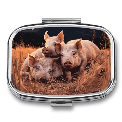 Pill Box with 2 Compartment Portable Small Pill Box for Pocket Or Purse Three Pigs Sleeping Pill Organizer Medicine Holder to Hold Vitamins Medication Fish Oil