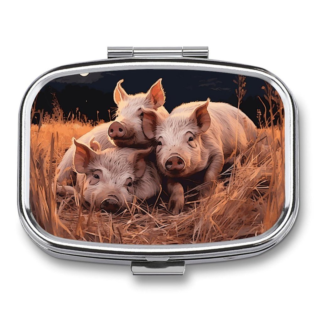 Pill Box with 2 Compartment Portable Small Pill Box for Pocket Or Purse Three Pigs Sleeping Pill Organizer Medicine Holder to Hold Vitamins Medication Fish Oil