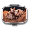 Pill Box with 2 Compartment Portable Small Pill Box for Pocket Or Purse Three Pigs Sleeping Pill Organizer Medicine Holder to Hold Vitamins Medication Fish Oil view 1