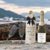 Funny Pregnancy Announcement Wine Bag, Aunt And Uncle Baby Announcement Ideas, New Mom Dad Gifts for Pregnancy Reveal, Pairs Well with Becoming An Aunt And Uncle Wine Bottle Gift Bags-B11 view 3
