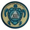 13 Year AA, Recovery Sea Turtle Medallion, Sobriety Token, Blue and Gold view 1