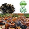 DABC OAK LAND Premium Dried Woodear Mushroom, Dried Black Fungus Shredded All Natural Vegan and Gluten-Free Rich in Fiber & Iron, Perfect for Cuisine, Soups 16 Ounce view 2