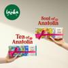 Lazika Tea Sampler with Premium Presentation Box, 10+10 Counts, 2 of Each Blend Individually Wrapped, Black Green and Herbal Tea Variety Gift Set, Collection with Pyramid Infuser Bag view 2