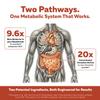 SoActive Berberine + Optimized Cinnamon, 9.6x Enhanced Absorption, Clinically Studied Dose, Patented Berbervis Phytosome + Cinnulin PF, Dual-Pathway Metabolism & Cellular Energy Support (120 Caps) view 3