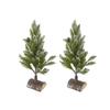 23.6 Inch Artificial Eucalyptus Wreath in Green - Realistic Faux Foliage for Home, Entryway, or Holiday Decor (White+Green + POLYETHYLENE) view 2