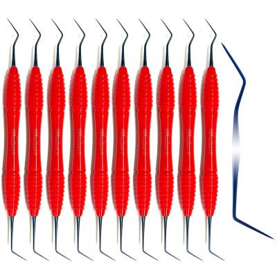 10 Pcs DG-16 Explorer Probe Silicone Handle Double Ended Diagnostic Endodontic Dental Instruments