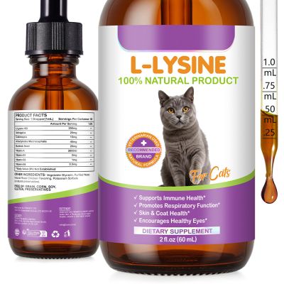 L-Lysine Supplement for Cats, Immune & Respiratory Support Liquid with Natural Ingredients, Chicken Flavor Dietary Supplement for Skin, Coat & Eye Health, 2 fl oz